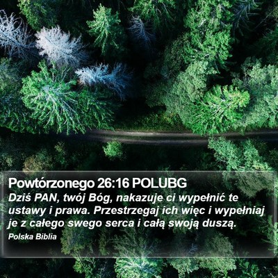 Powtórzonego 26:16 POLUBG Bible Verse Image