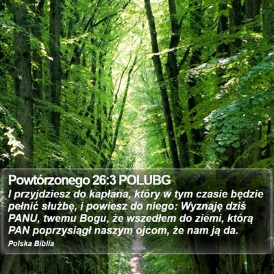Powtórzonego 26:3 POLUBG Bible Verse Image