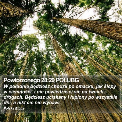 Powtórzonego 28:29 POLUBG Bible Verse Image