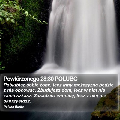 Powtórzonego 28:30 POLUBG Bible Verse Image