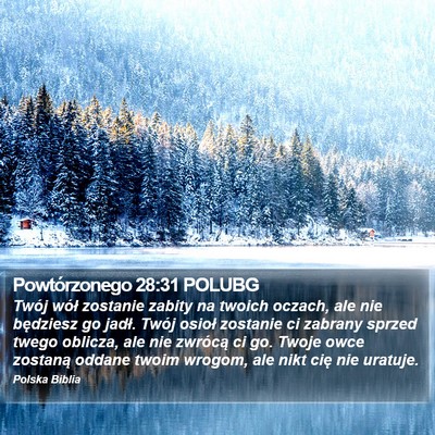 Powtórzonego 28:31 POLUBG Bible Verse Image
