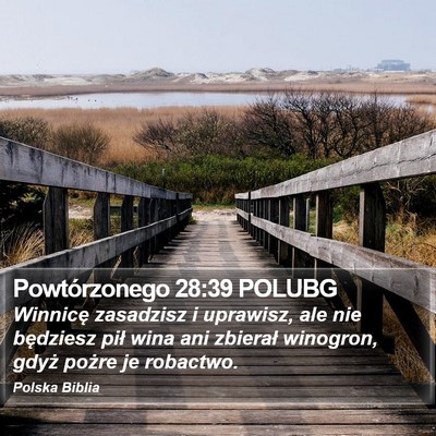 Powtórzonego 28:39 POLUBG Bible Verse Image