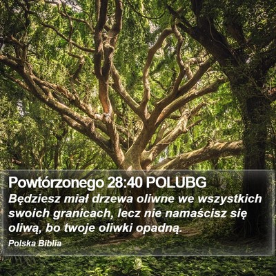 Powtórzonego 28:40 POLUBG Bible Verse Image