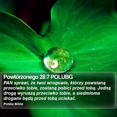 Powtórzonego 28:7 POLUBG Bible Verse Image