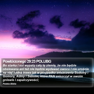 Powtórzonego 29:23 POLUBG Bible Verse Image