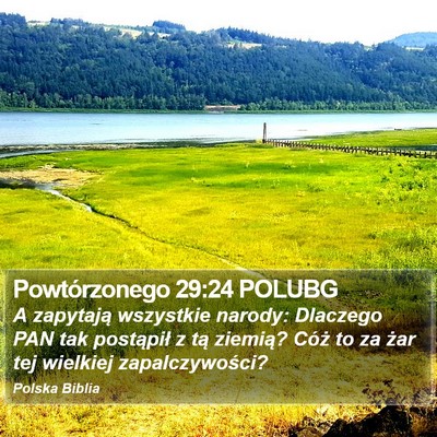 Powtórzonego 29:24 POLUBG Bible Verse Image