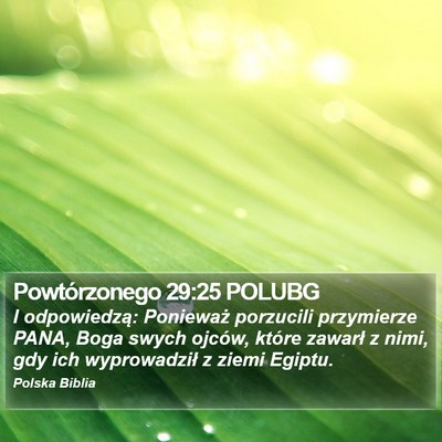 Powtórzonego 29:25 POLUBG Bible Verse Image
