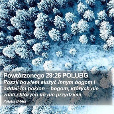 Powtórzonego 29:26 POLUBG Bible Verse Image