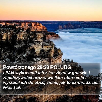 Powtórzonego 29:28 POLUBG Bible Verse Image