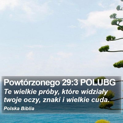 Powtórzonego 29:3 POLUBG Bible Verse Image