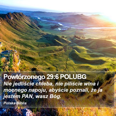 Powtórzonego 29:6 POLUBG Bible Verse Image