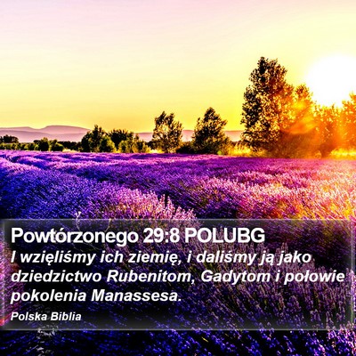 Powtórzonego 29:8 POLUBG Bible Verse Image