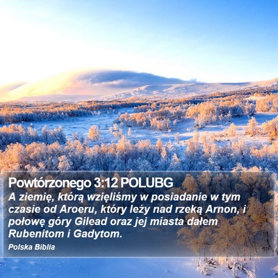 Powtórzonego 3:12 POLUBG Bible Verse Image