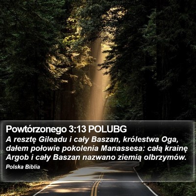 Powtórzonego 3:13 POLUBG Bible Verse Image