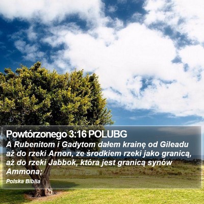 Powtórzonego 3:16 POLUBG Bible Verse Image