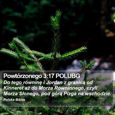 Powtórzonego 3:17 POLUBG Bible Verse Image