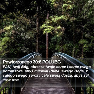 Powtórzonego 30:6 POLUBG Bible Verse Image