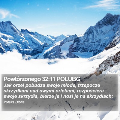Powtórzonego 32:11 POLUBG Bible Verse Image