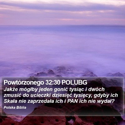 Powtórzonego 32:30 POLUBG Bible Verse Image