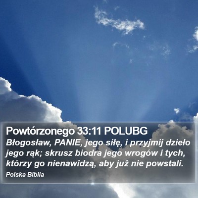 Powtórzonego 33:11 POLUBG Bible Verse Image
