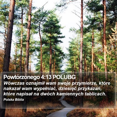 Powtórzonego 4:13 POLUBG Bible Verse Image