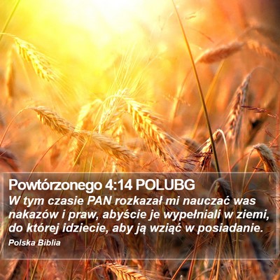 Powtórzonego 4:14 POLUBG Bible Verse Image