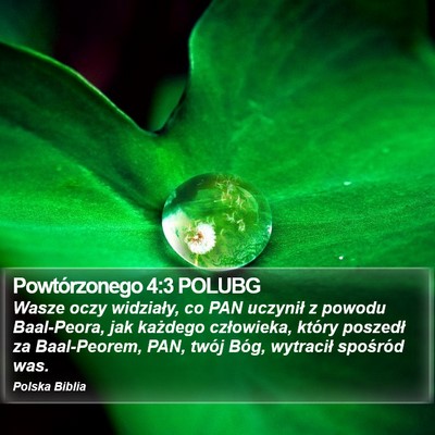 Powtórzonego 4:3 POLUBG Bible Verse Image