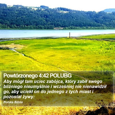 Powtórzonego 4:42 POLUBG Bible Verse Image