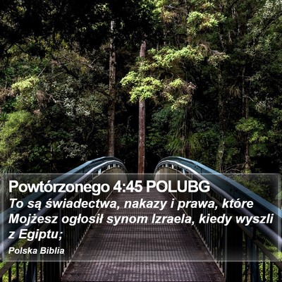 Powtórzonego 4:45 POLUBG Bible Verse Image