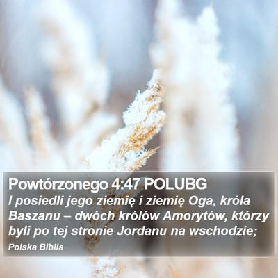 Powtórzonego 4:47 POLUBG Bible Verse Image