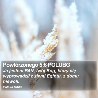 Powtórzonego 5:6 POLUBG Bible Verse Image