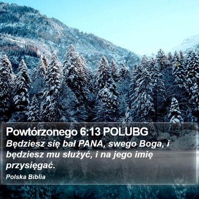 Powtórzonego 6:13 POLUBG Bible Verse Image