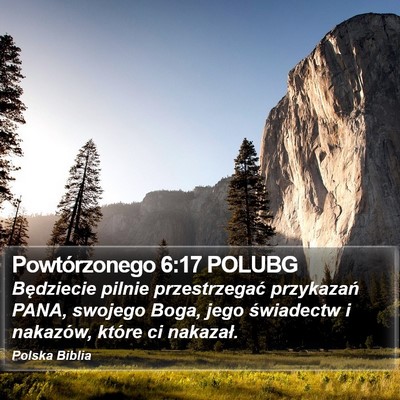 Powtórzonego 6:17 POLUBG Bible Verse Image