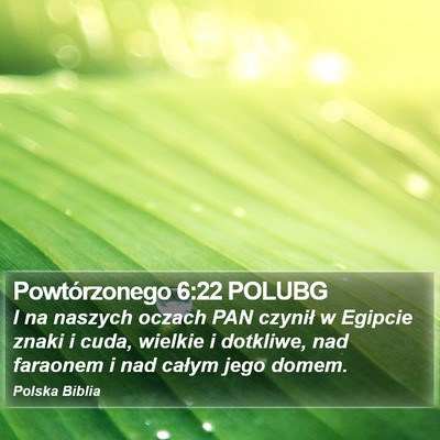 Powtórzonego 6:22 POLUBG Bible Verse Image