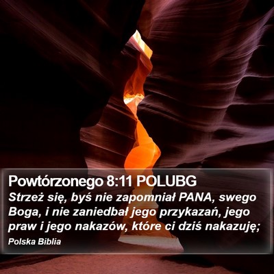 Powtórzonego 8:11 POLUBG Bible Verse Image