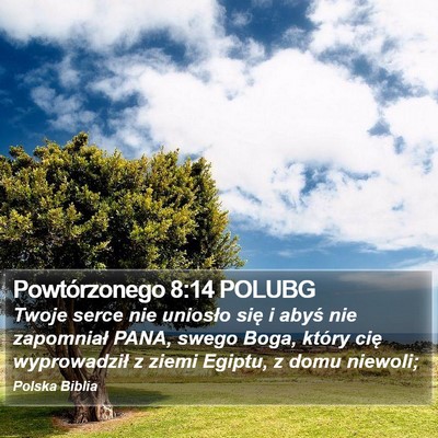 Powtórzonego 8:14 POLUBG Bible Verse Image