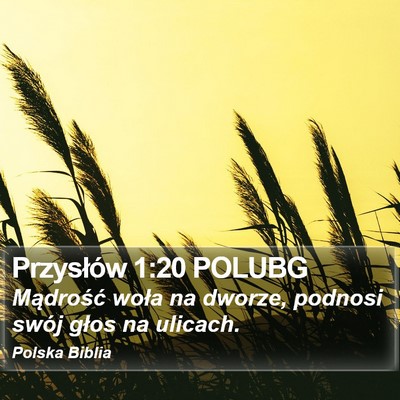 Przysłów 1:20 POLUBG Bible Verse Image