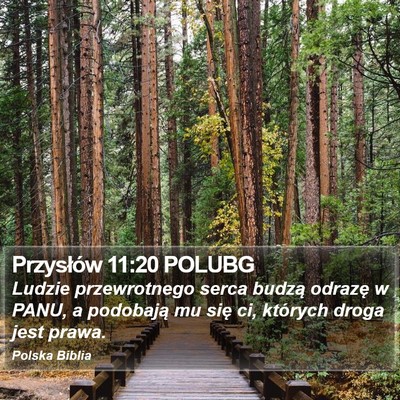 Przysłów 11:20 POLUBG Bible Verse Image