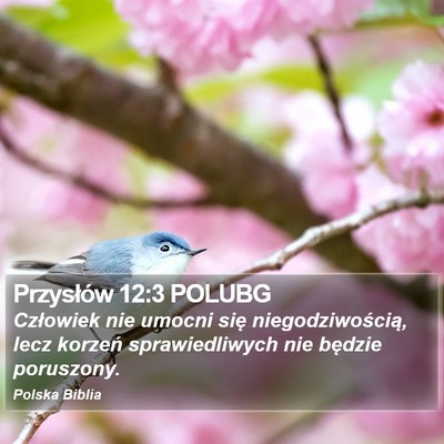 Przysłów 12:3 POLUBG Bible Verse Image