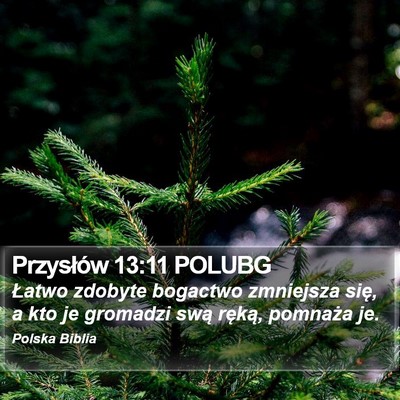 Przysłów 13:11 POLUBG Bible Verse Image