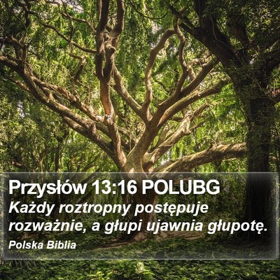 Przysłów 13:16 POLUBG Bible Verse Image