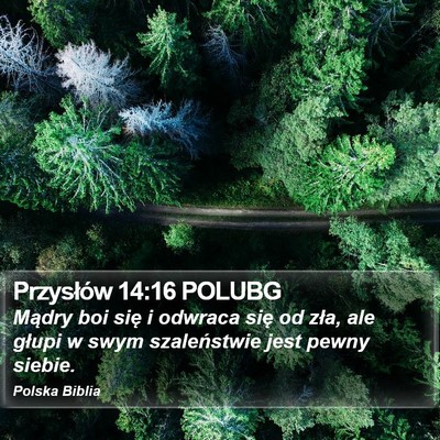 Przysłów 14:16 POLUBG Bible Verse Image