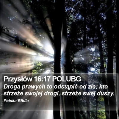 Przysłów 16:17 POLUBG Bible Verse Image