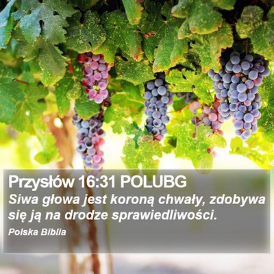 Przysłów 16:31 POLUBG Bible Verse Image