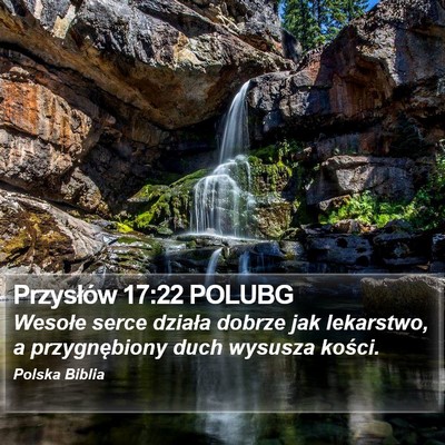 Przysłów 17:22 POLUBG Bible Verse Image