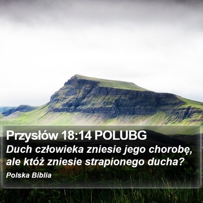Przysłów 18:14 POLUBG Bible Verse Image