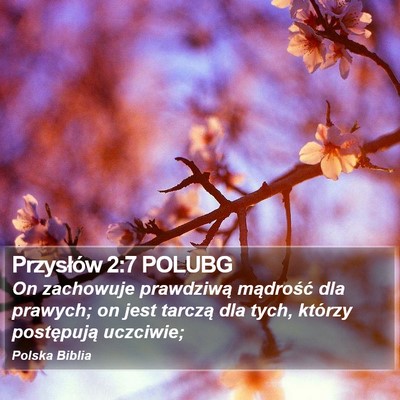 Przysłów 2:7 POLUBG Bible Verse Image