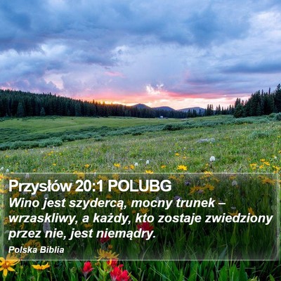Przysłów 20:1 POLUBG Bible Verse Image