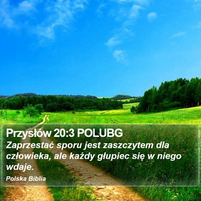 Przysłów 20:3 POLUBG Bible Verse Image