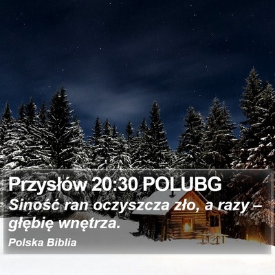 Przysłów 20:30 POLUBG Bible Verse Image